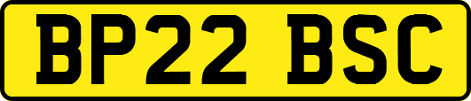 BP22BSC
