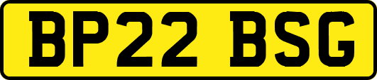 BP22BSG