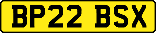 BP22BSX