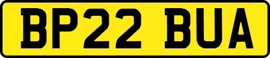BP22BUA