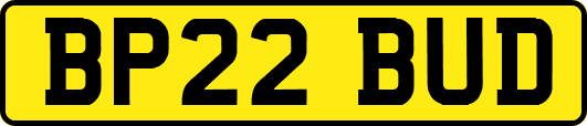 BP22BUD