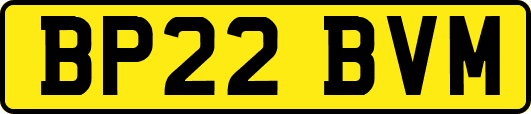 BP22BVM