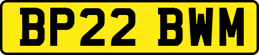 BP22BWM