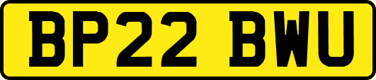 BP22BWU