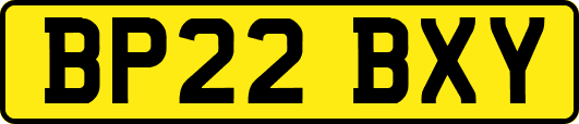 BP22BXY