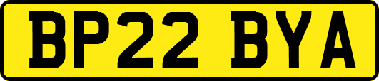 BP22BYA