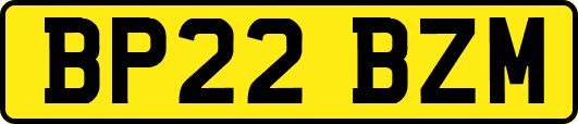 BP22BZM