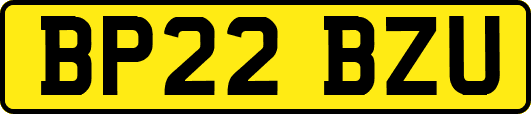 BP22BZU