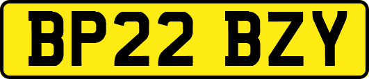 BP22BZY