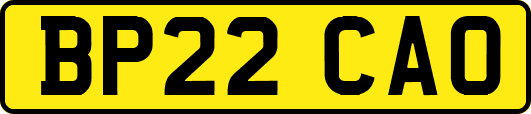 BP22CAO