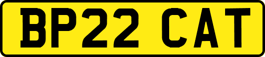 BP22CAT
