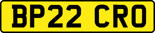 BP22CRO