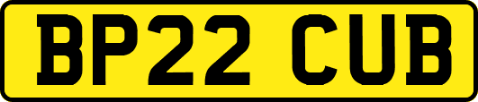 BP22CUB