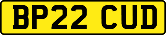 BP22CUD