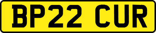 BP22CUR
