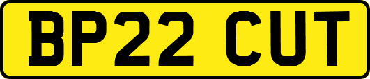 BP22CUT