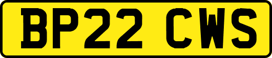 BP22CWS