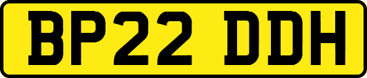 BP22DDH