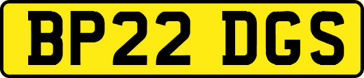 BP22DGS