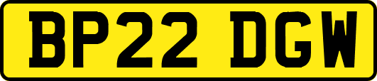 BP22DGW