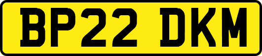 BP22DKM