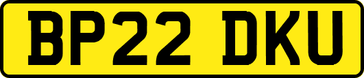 BP22DKU