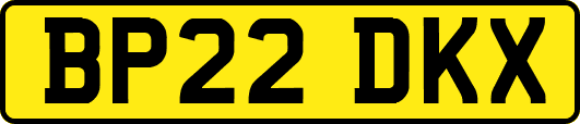 BP22DKX