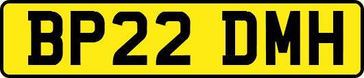 BP22DMH