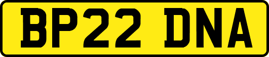 BP22DNA