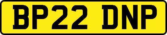 BP22DNP