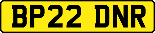 BP22DNR