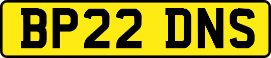 BP22DNS