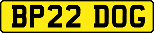 BP22DOG