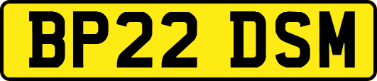 BP22DSM