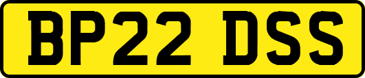 BP22DSS