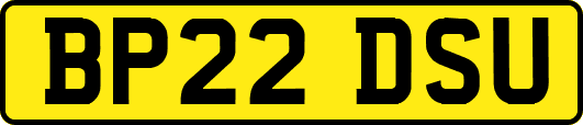 BP22DSU