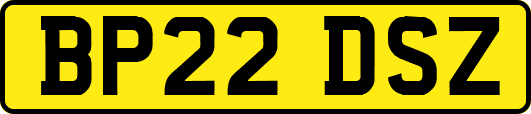 BP22DSZ