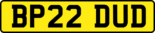 BP22DUD