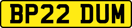 BP22DUM