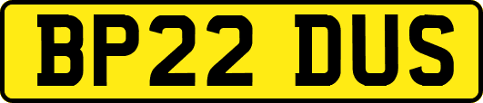 BP22DUS