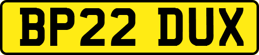 BP22DUX