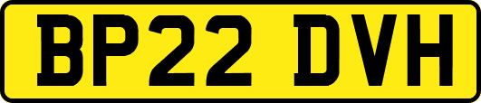 BP22DVH