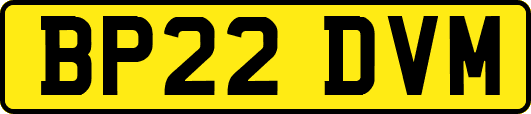BP22DVM