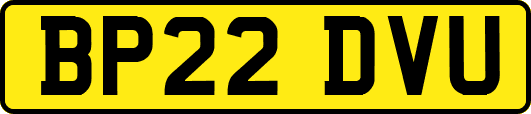 BP22DVU