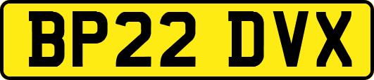 BP22DVX