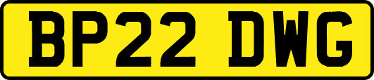 BP22DWG