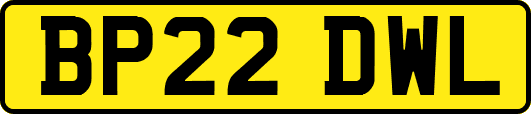 BP22DWL