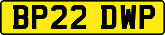 BP22DWP