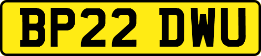 BP22DWU