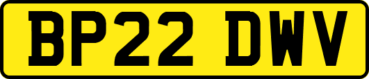 BP22DWV